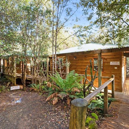 Moina Cradle Forest Inn מראה חיצוני תמונה