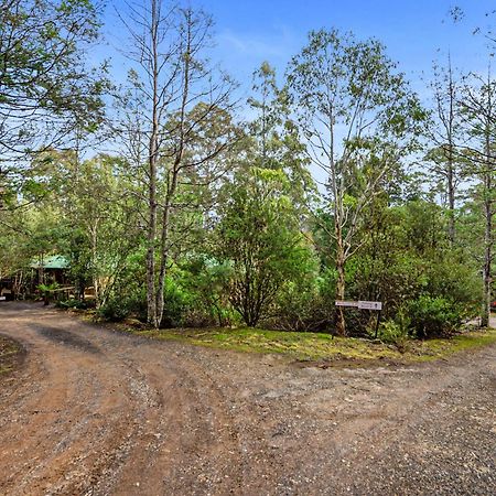 Moina Cradle Forest Inn מראה חיצוני תמונה