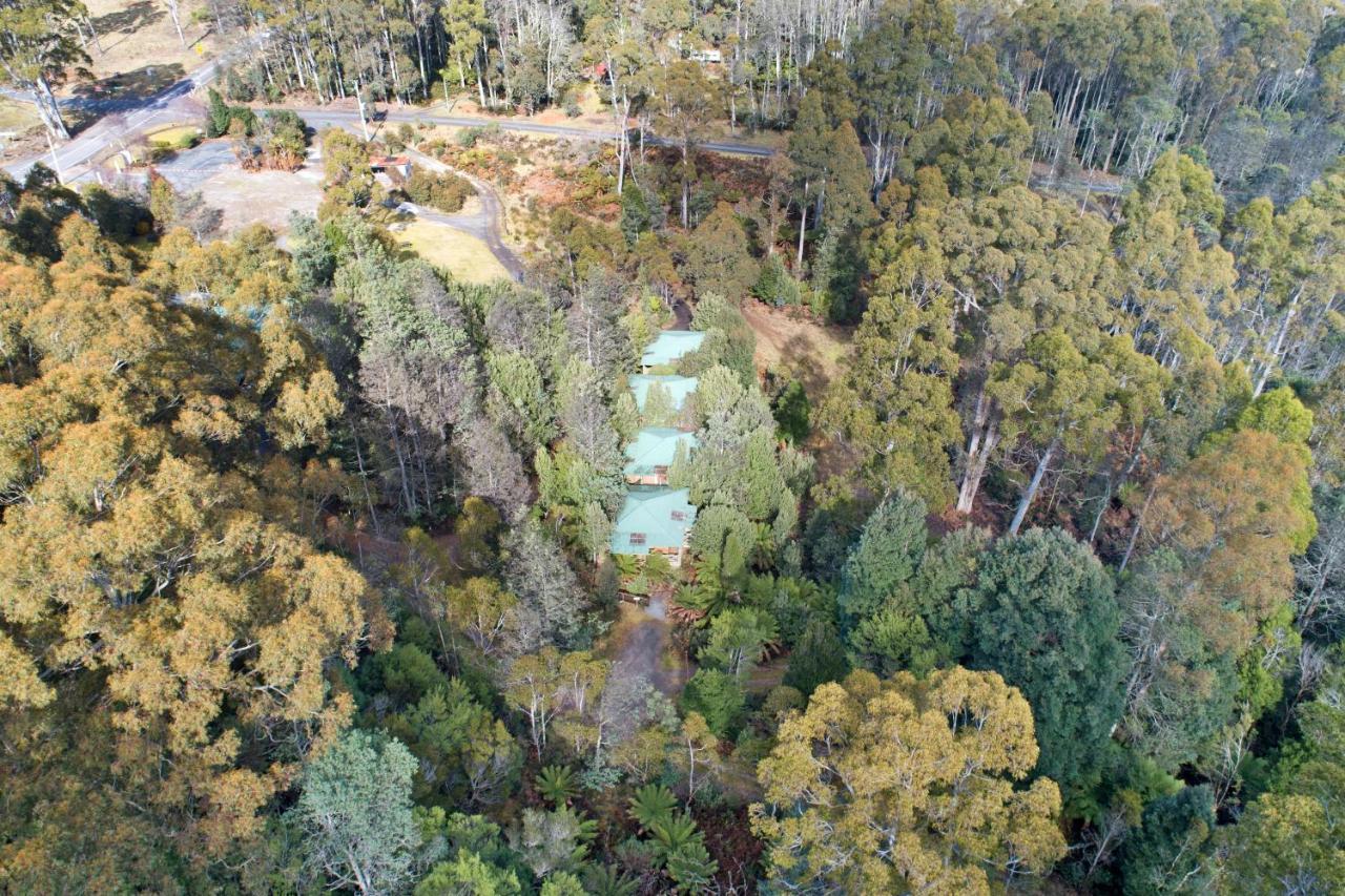 Moina Cradle Forest Inn מראה חיצוני תמונה