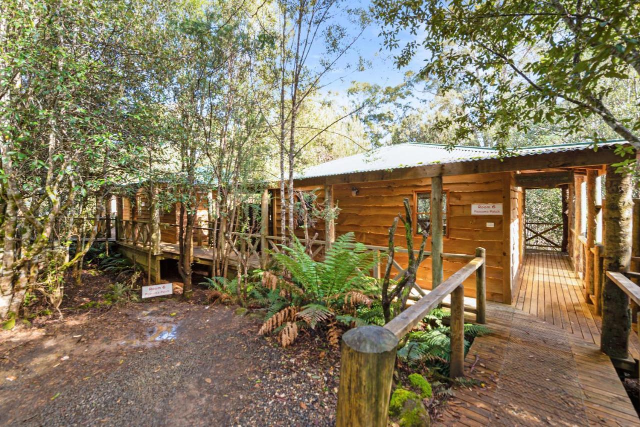 Moina Cradle Forest Inn מראה חיצוני תמונה