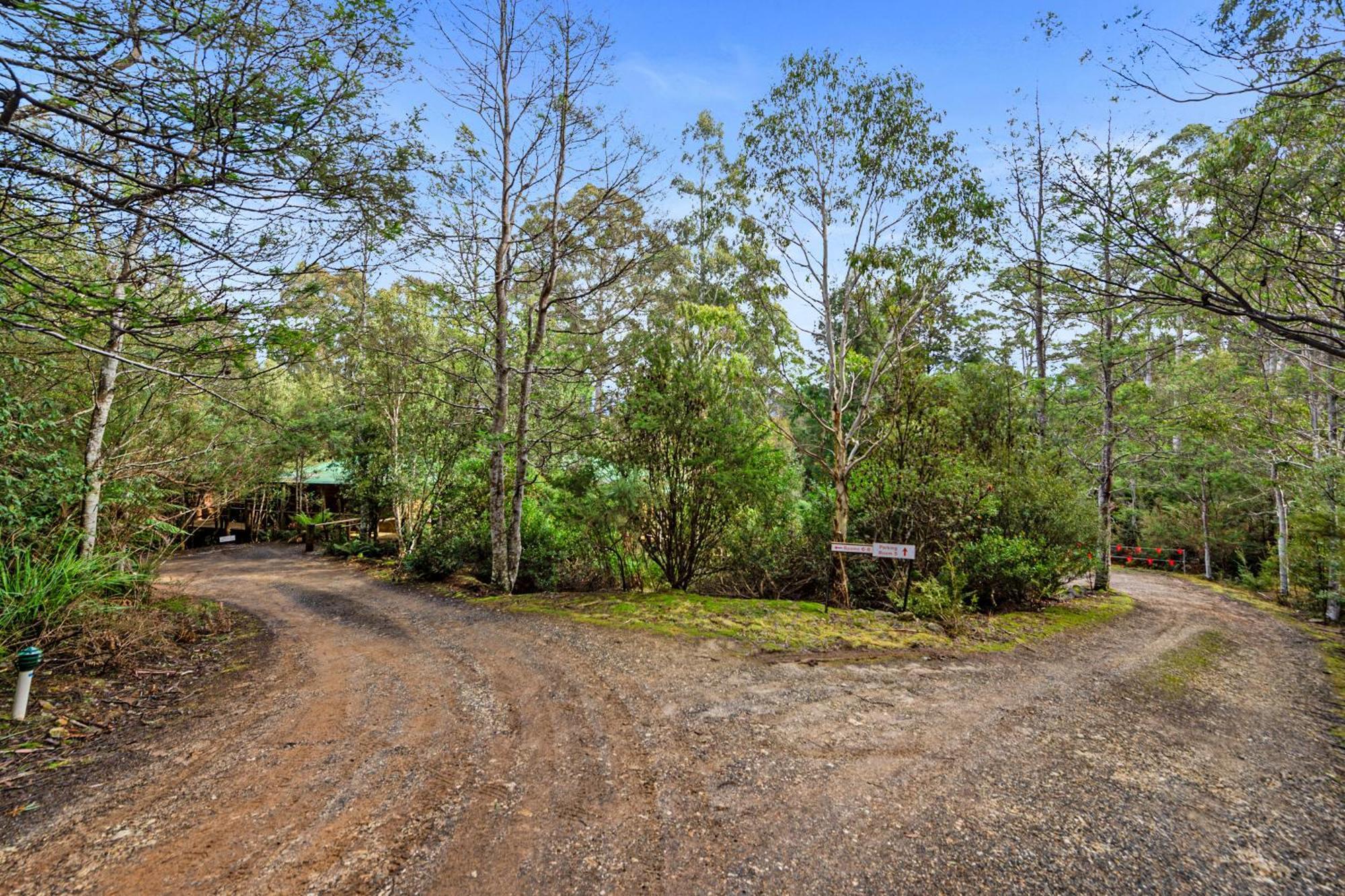 Moina Cradle Forest Inn מראה חיצוני תמונה