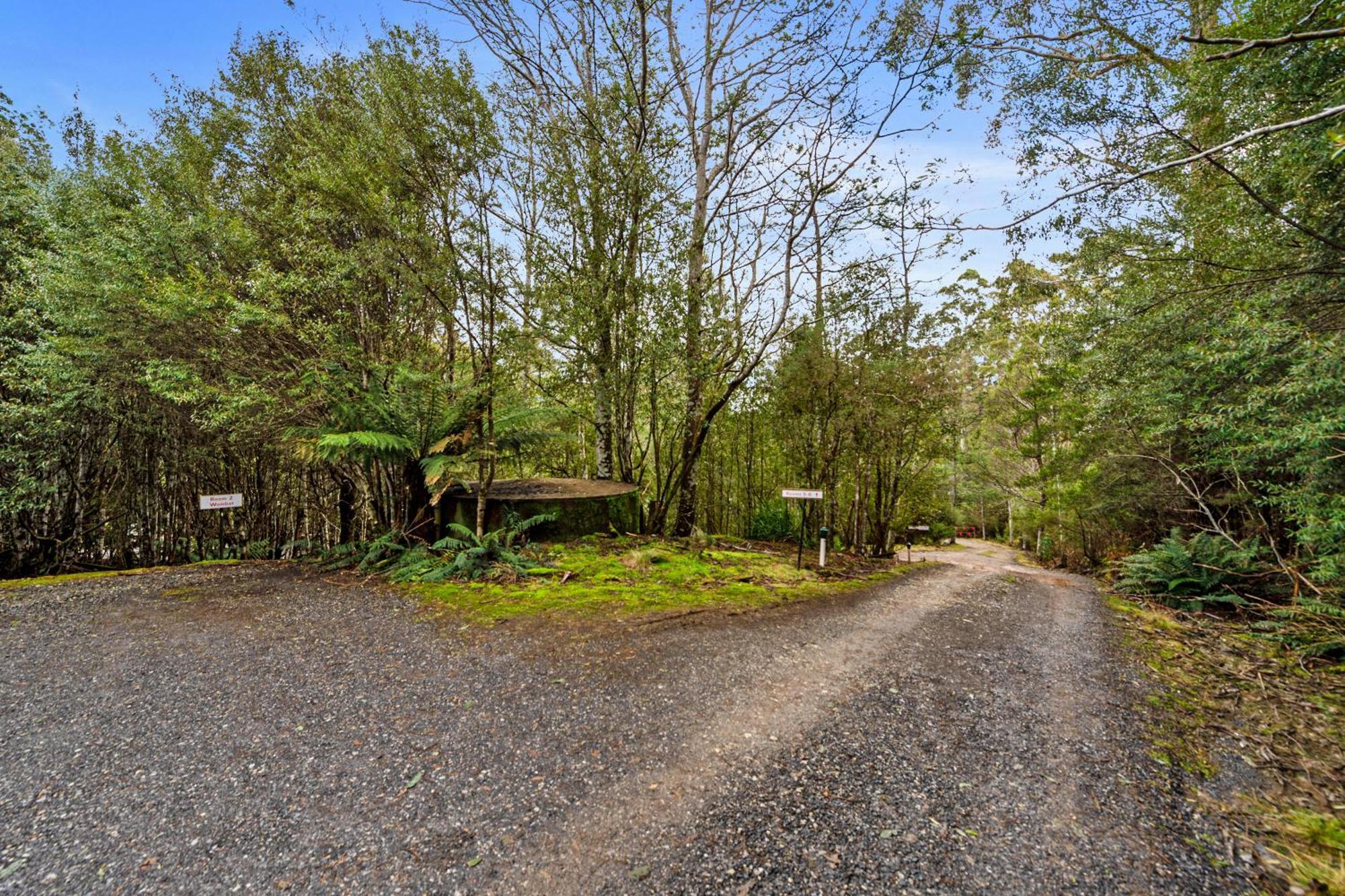 Moina Cradle Forest Inn מראה חיצוני תמונה
