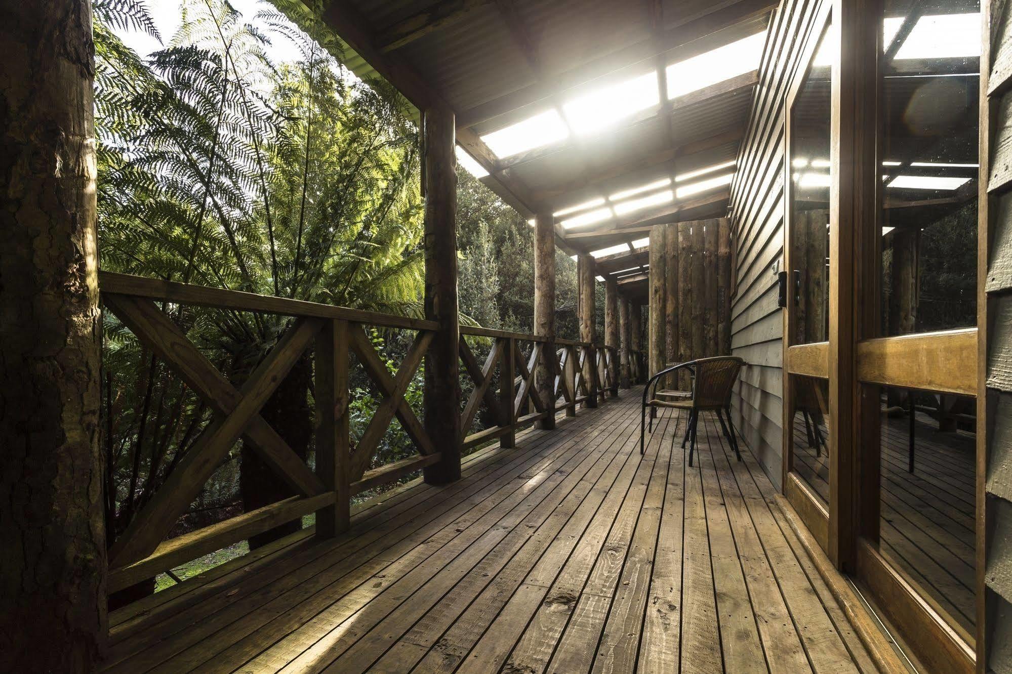 Moina Cradle Forest Inn מראה חיצוני תמונה